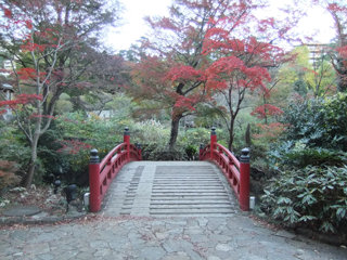 1124momiji3_20111126075736.jpg