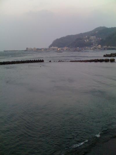 風に吹かれる網代湾