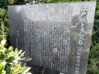 20100929_1162340_convert_20101121080726.jpg