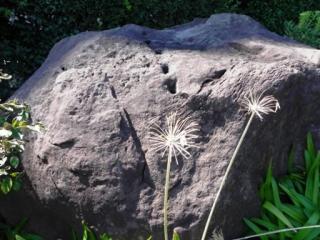 20100929_1162341_convert_20101121080746.jpg