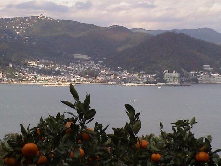 20101022_1194703_20121126091145.jpg