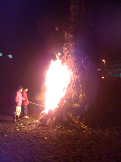 2010 379_convert_20110112074221