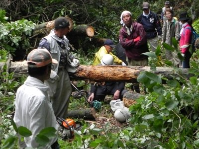 20110601_1865024.jpg