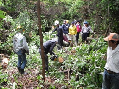 20110601_1865028.jpg
