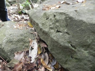 20110601_1865032.jpg