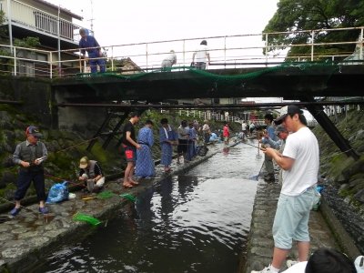 20110615_1891874.jpg