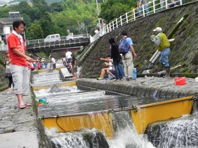 20110615_1891876.jpg