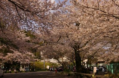 20120403.jpg