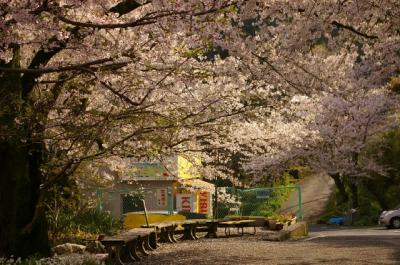 20120404.jpg