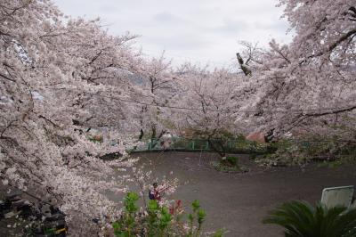 20120405.jpg