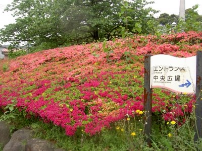 20120428_2323283.jpg