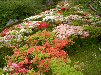 20120428_2323284.jpg