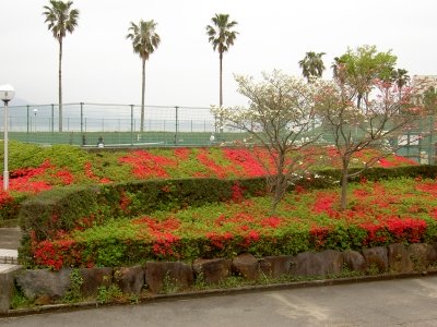 20120428_2323286.jpg