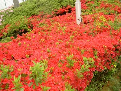 20120428_2323287.jpg