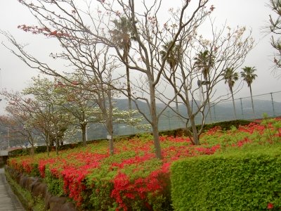 20120428_2323288.jpg