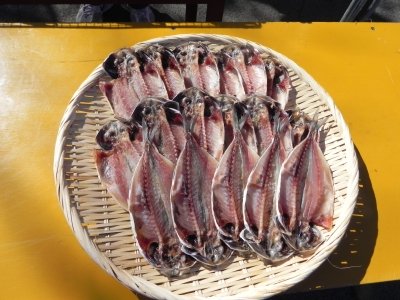 20121110_2514086.jpg