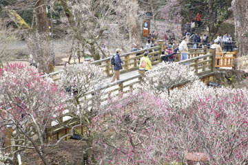 baien3 (1)