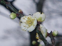 4d58b770005.jpg