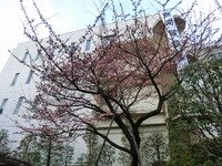 CIMG0197-s.jpg