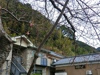 CIMG0230-s.jpg