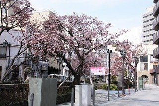 IMG_0102.jpg