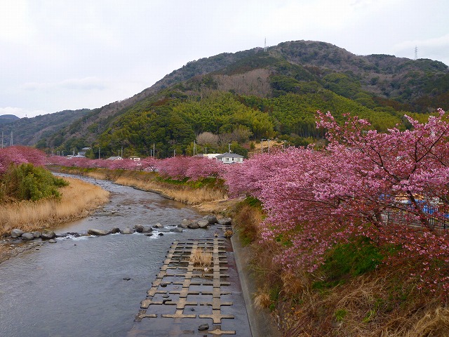 P1040953.jpg