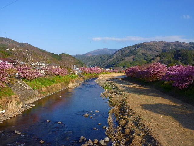 P1060191.jpg