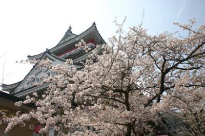 熱海城桜まつり02