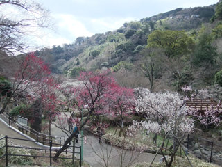 baien24-1.jpg