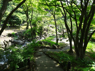 baien_20131107081724389.jpg