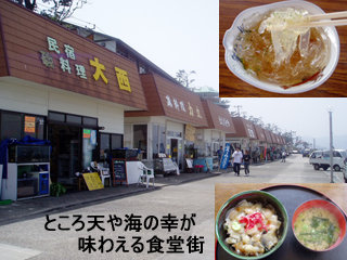 hatusima2_20120421080950.jpg