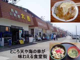 hatusima2_20130407072940.jpg