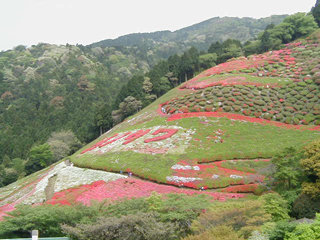 himenosawa_20120430075950.jpg
