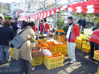himonomaturi04_20150105093734d9c.jpg