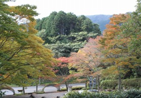 keyaki_20141030080039c75.jpg