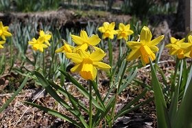 rappasuisen_20120329081401.jpg