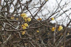 roubai_201403020829095f7.jpg