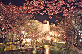 s-02_20120130082428.jpg