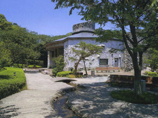 sawada1.jpg