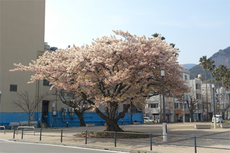 top_201403170817504fa.jpg