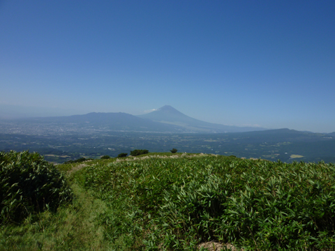 top_20140624082025958.jpg