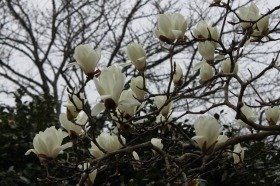 wn_img1_20160327092457ad5.jpg