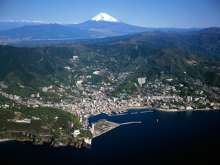zenkei1_20111224073734.jpg