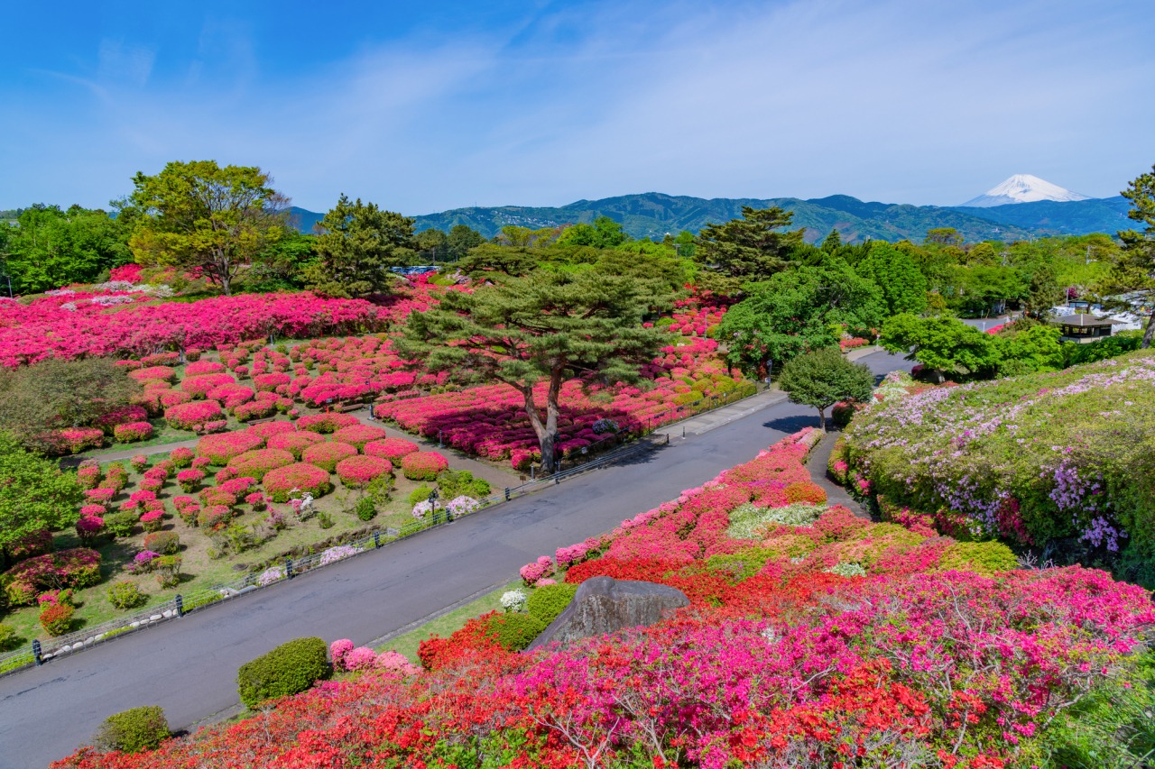 小室山公園 Mattlam