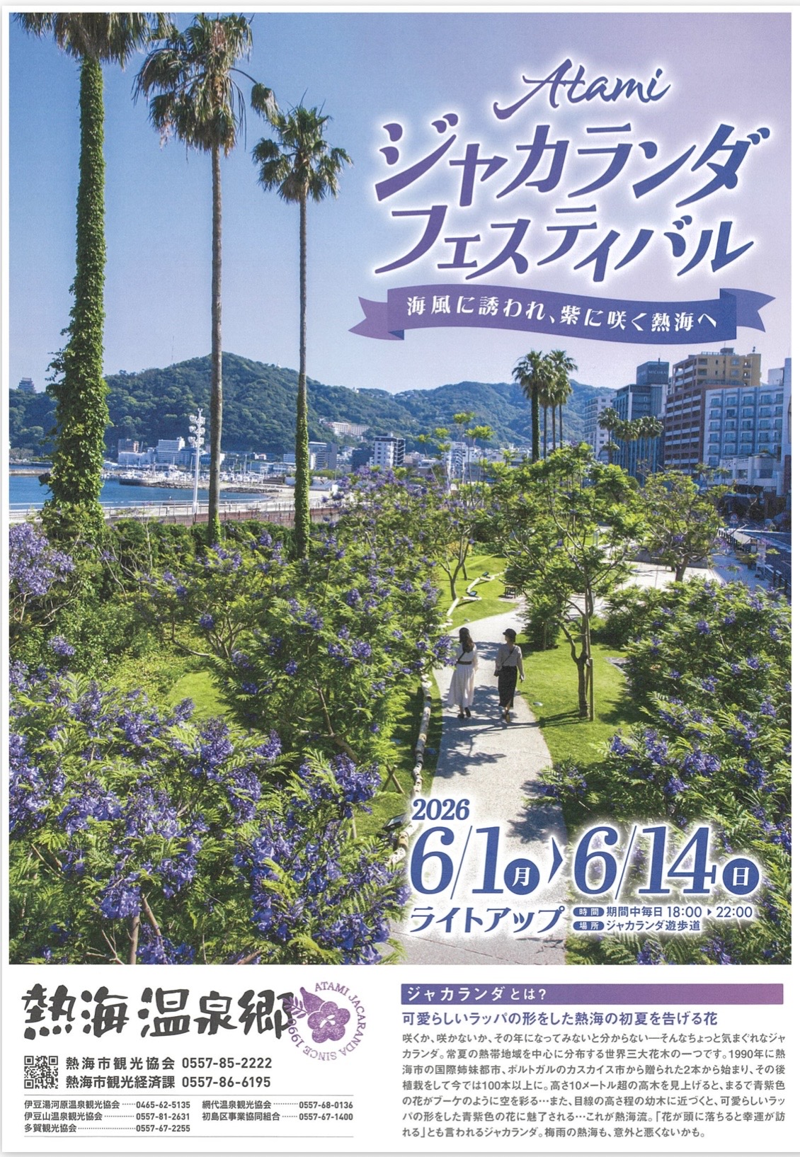 【鑑定書付】 ARS10 ヴァイスシュバルツ 雨上がりに咲く花 智花 雨上がりに咲く花智花