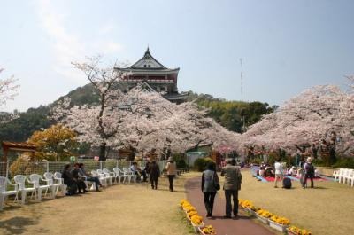 熱海城桜まつり01